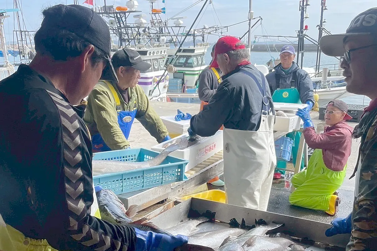 魚が肴 店内の雰囲気